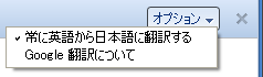 翻訳バーの [オプション] ボタン-翻訳実行後